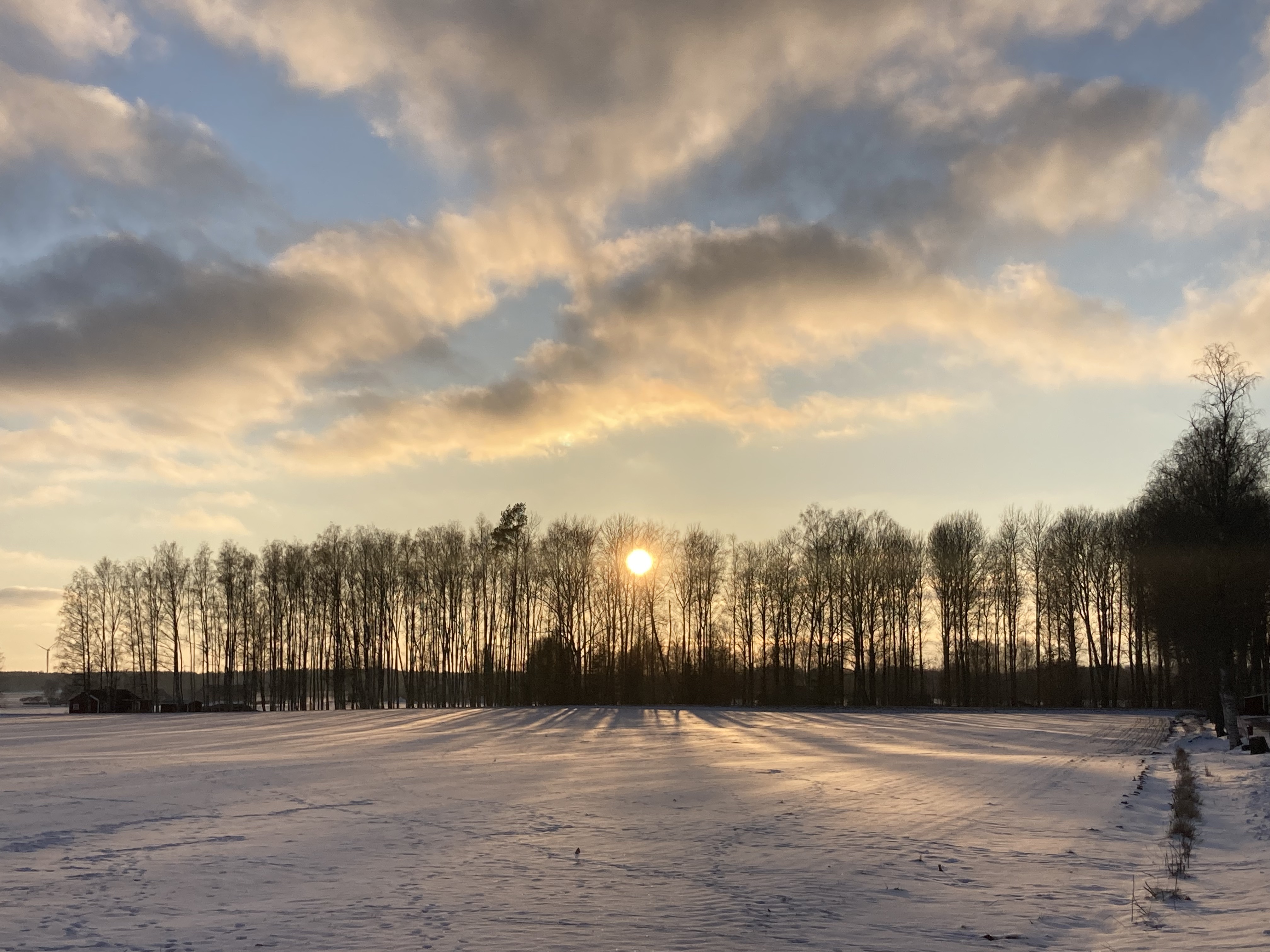 Hälsa & Vägledning